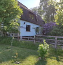 Urlaub auf Rügen, Natur pur in ruhiger Einzellage, im "Haus am Moor"