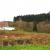 Galeriebild 2