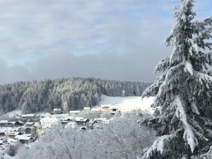 Bild: Ferienwohnung Forstpanorama Bayrischer Wald